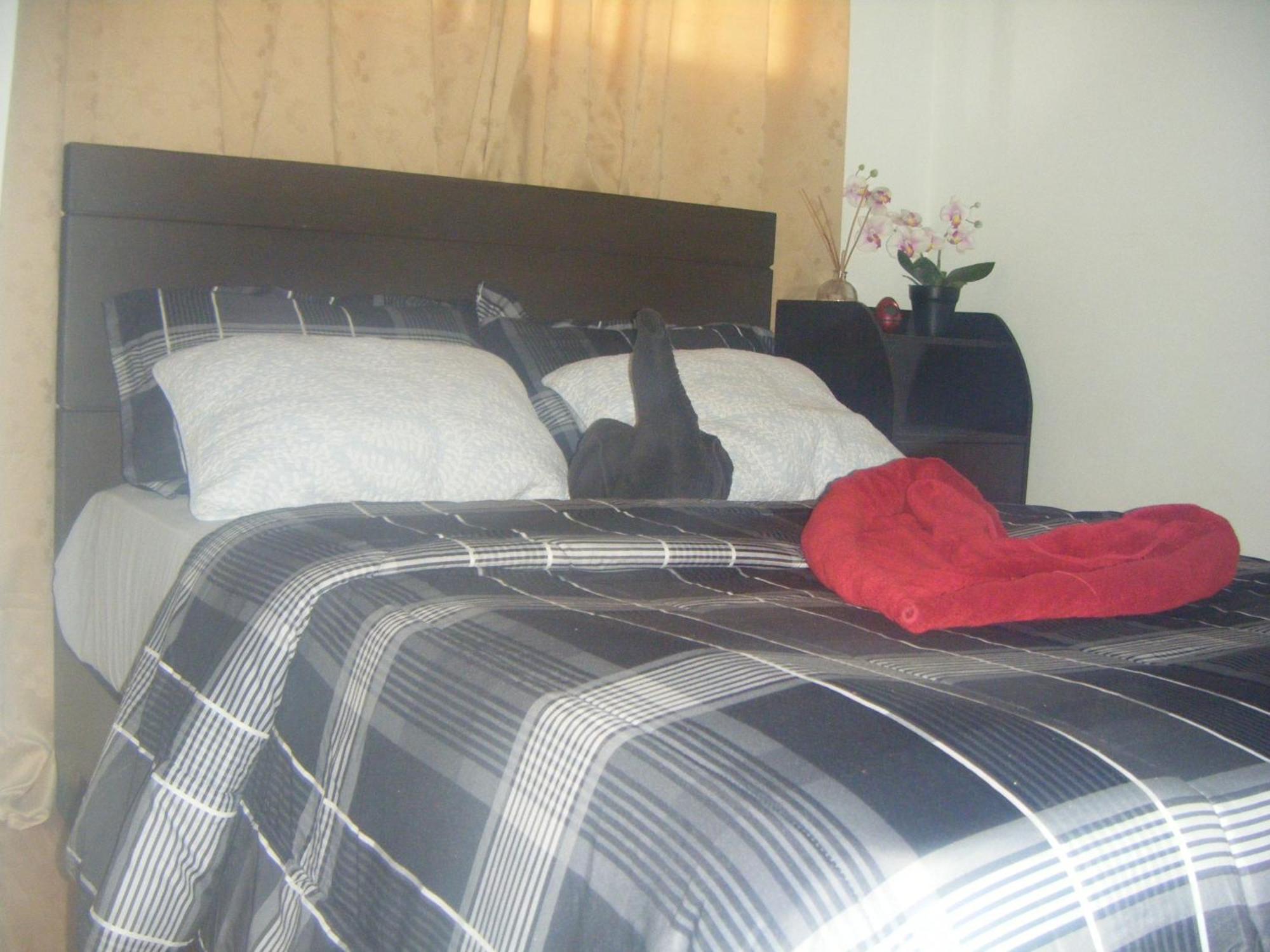 The Oasis Davao Condotel Εξωτερικό φωτογραφία
